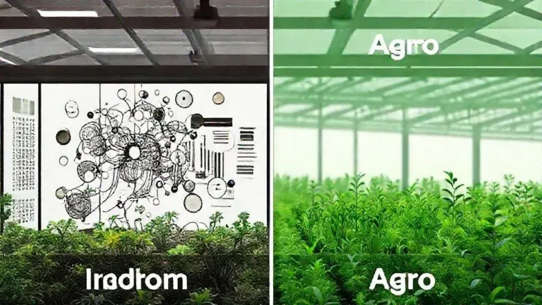3 Diferenças Críticas na Estrutura de Dados (Data Schema) para o Cultivo Interno e o Agronegócio