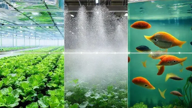 Comparativo em 3 Pontos: Rastreabilidade em Hidroponia, Aeroponia e Aquaponia Urbana