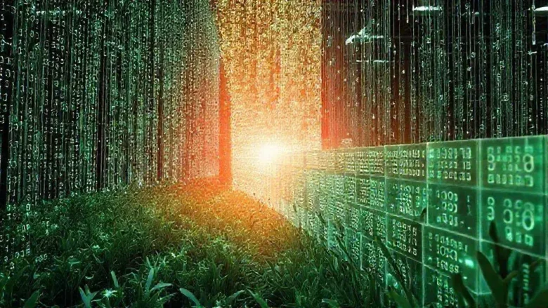 Os 5 Maiores Desafios de Dados da Agricultura Vertical e Por Que o Blockchain é a Solução