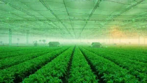 10 Características do Agro 5.0 que Irão Reescrever o Campo Brasileiro